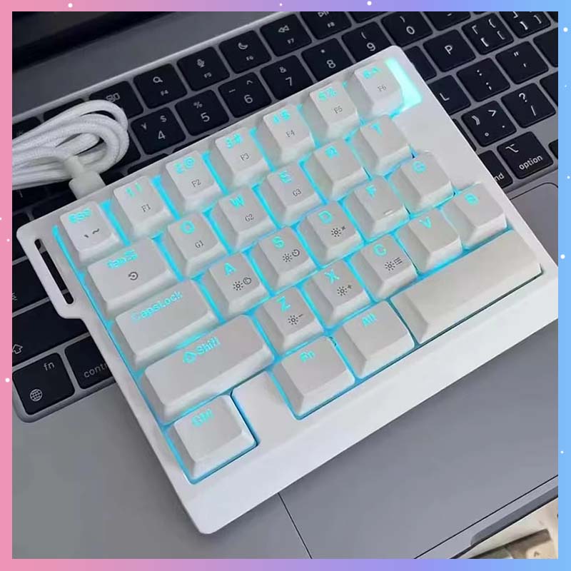 Gaming Keyboard Esports - HE30 Mekanik Oyun Klavyesi 29 Tuşlu